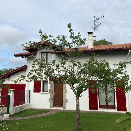 Maison Lore Mendi Elbarron Saint-Pée-sur-Nivelle Kültér fotó